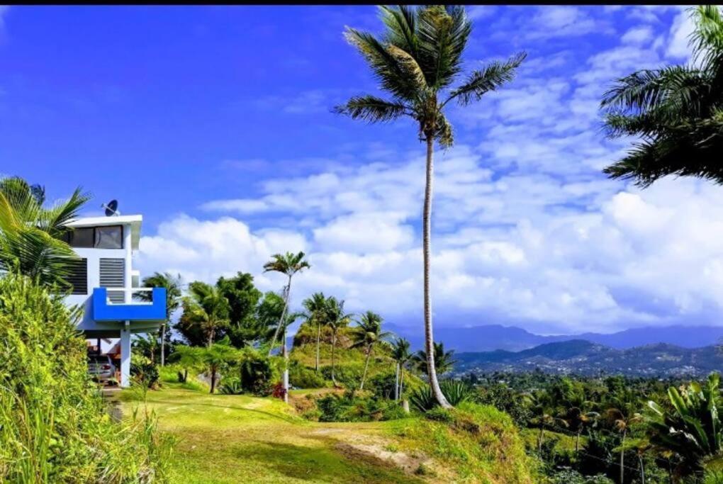 Swim & Paint Art Retreat Apartment Las Piedras Luaran gambar