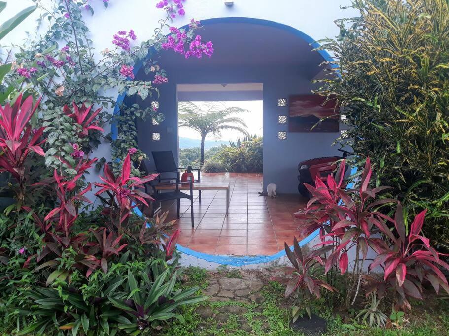 Swim & Paint Art Retreat Apartment Las Piedras Luaran gambar
