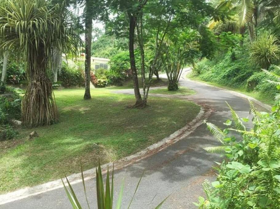 Swim & Paint Art Retreat Apartment Las Piedras Luaran gambar