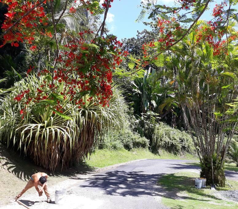 Swim & Paint Art Retreat Apartment Las Piedras Luaran gambar