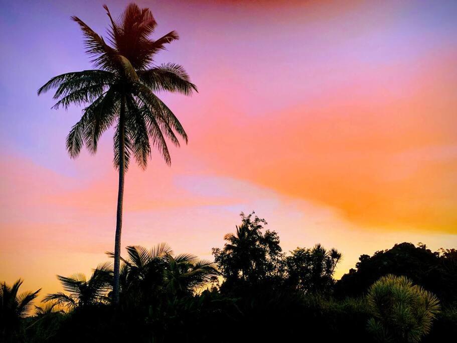 Swim & Paint Art Retreat Apartment Las Piedras Luaran gambar