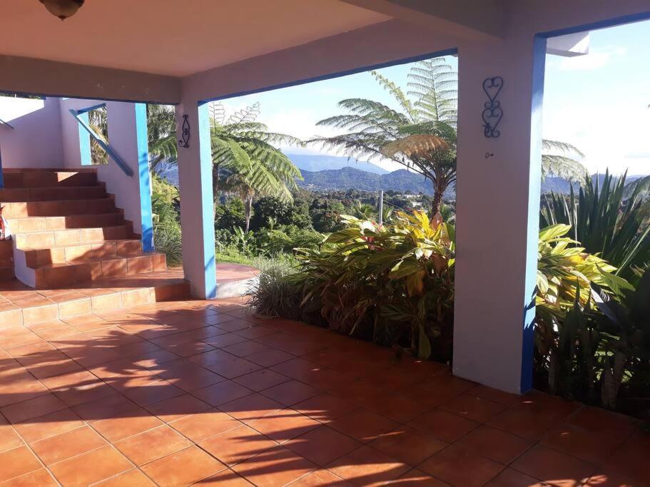 Swim & Paint Art Retreat Apartment Las Piedras Luaran gambar