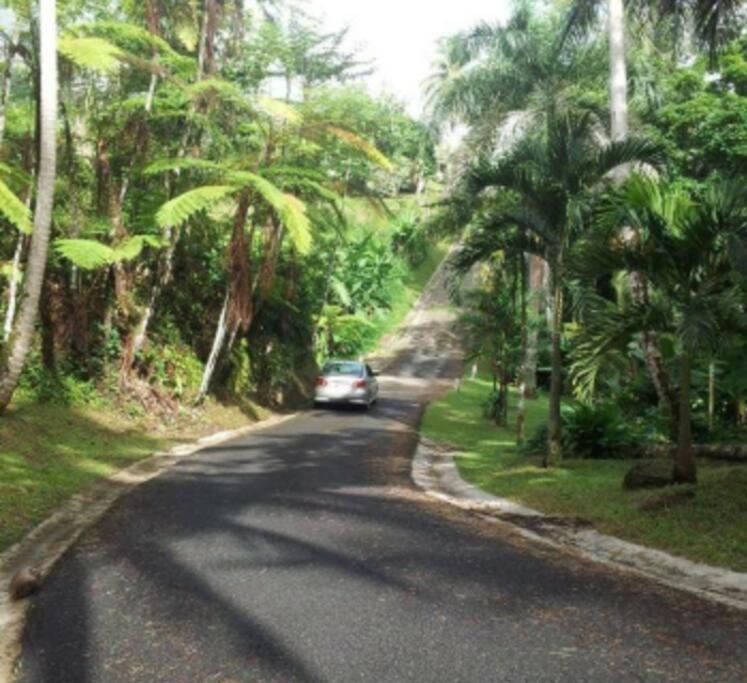 Swim & Paint Art Retreat Apartment Las Piedras Luaran gambar