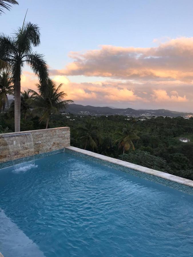 Swim & Paint Art Retreat Apartment Las Piedras Luaran gambar