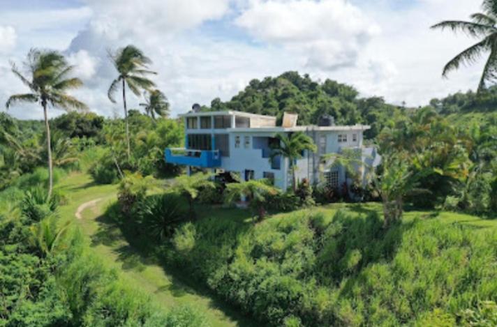 Swim & Paint Art Retreat Apartment Las Piedras Luaran gambar