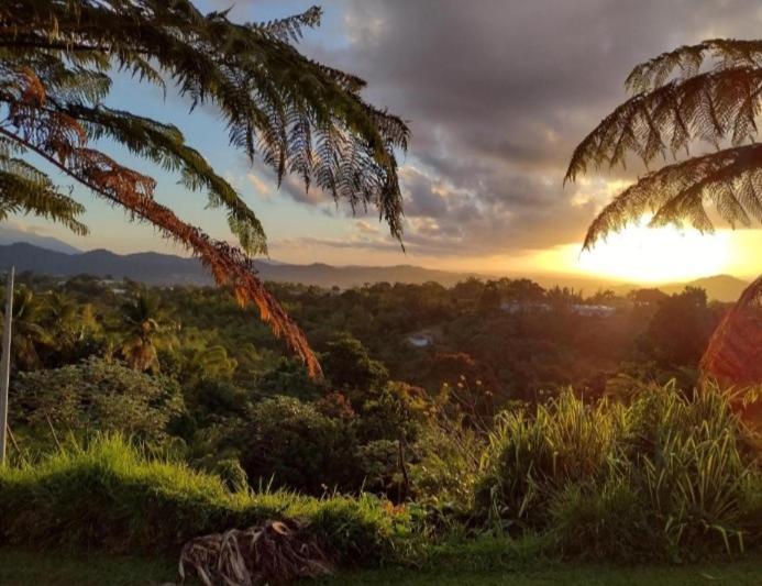 Swim & Paint Art Retreat Apartment Las Piedras Luaran gambar